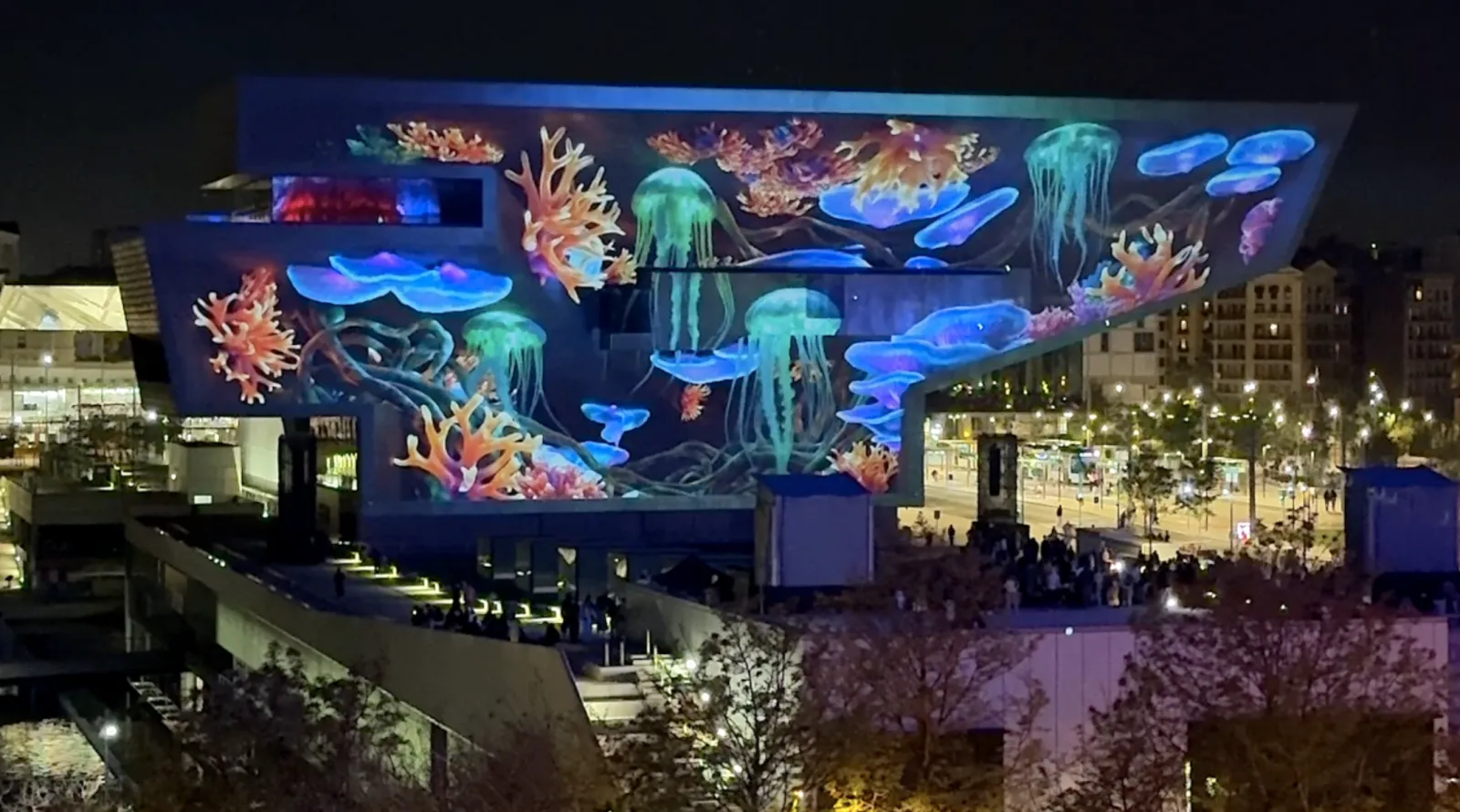 The Screen — projection